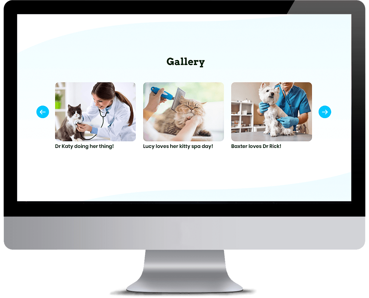 Pet services management hub Gallery desktop view