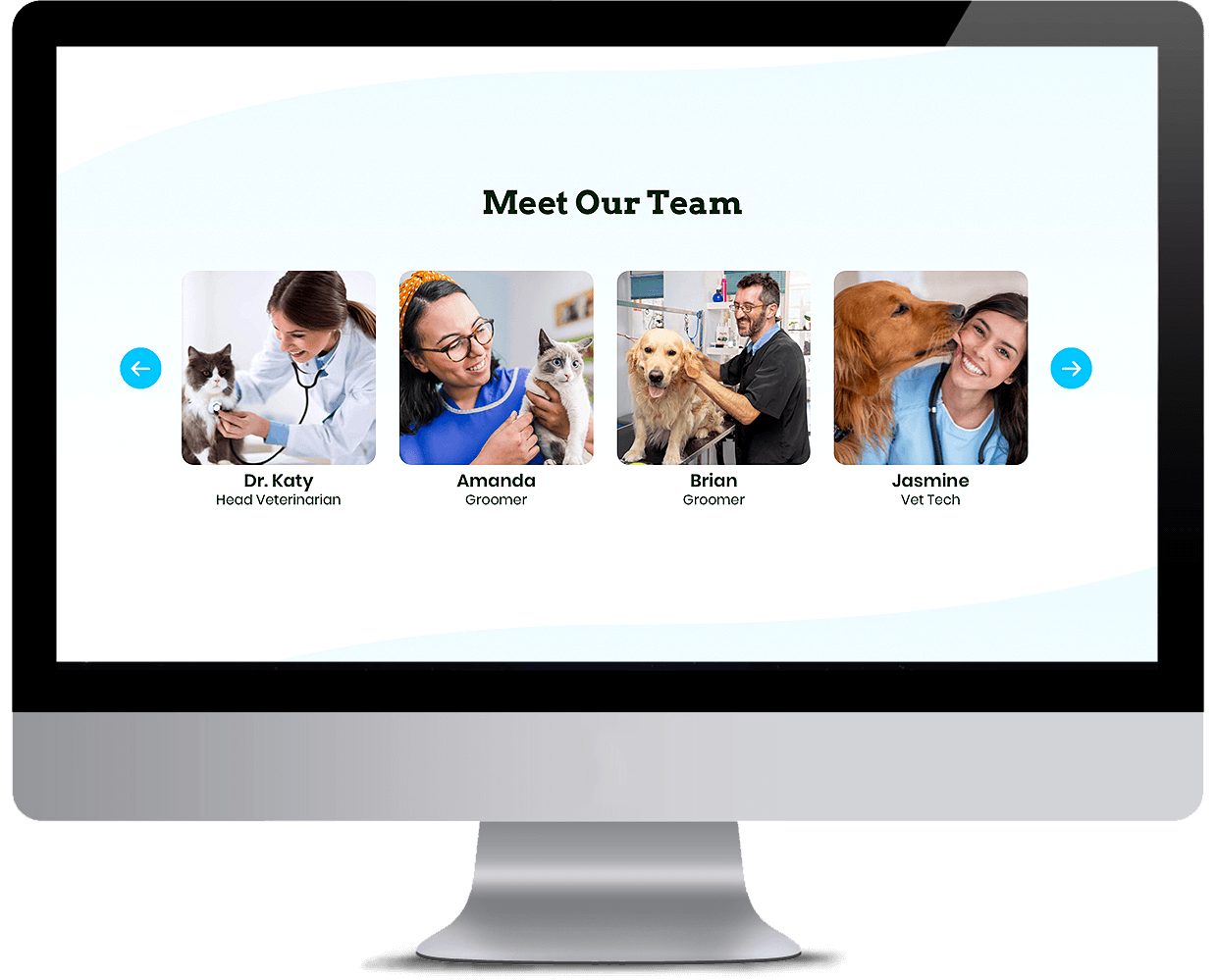 Pet services management sytem Team showcase interface desktop view
